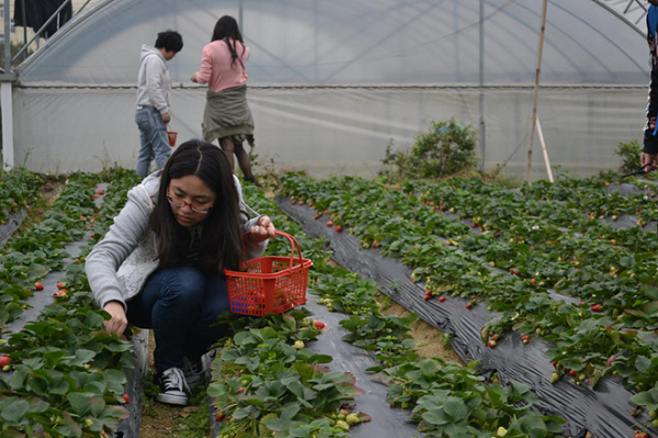 永利3044集团官网举办三月员工生日活动