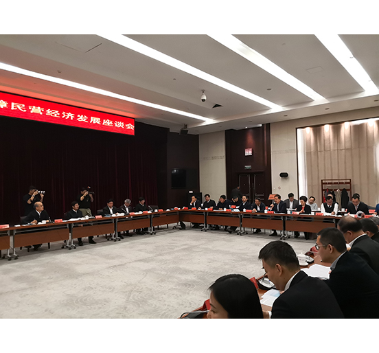 全国人大代表、永利3044集团官网董事长熊建明参加检察机关服务保障民营经济发展调研座谈会